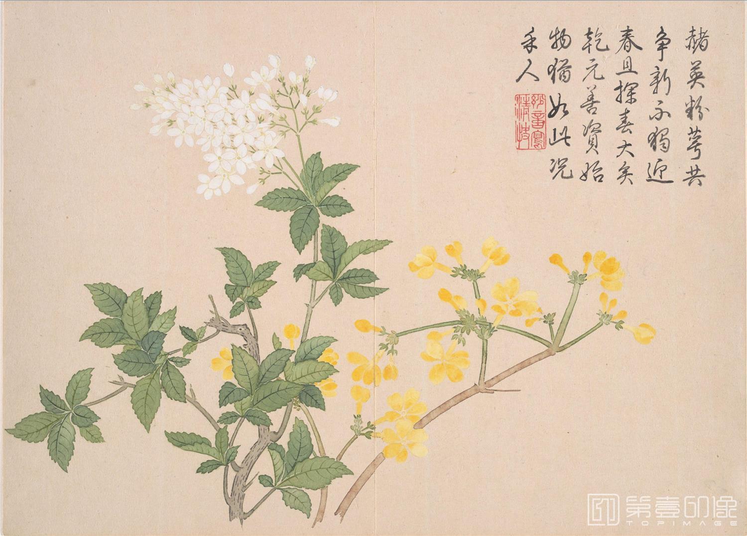 国画-山水花鸟册 12开 -009