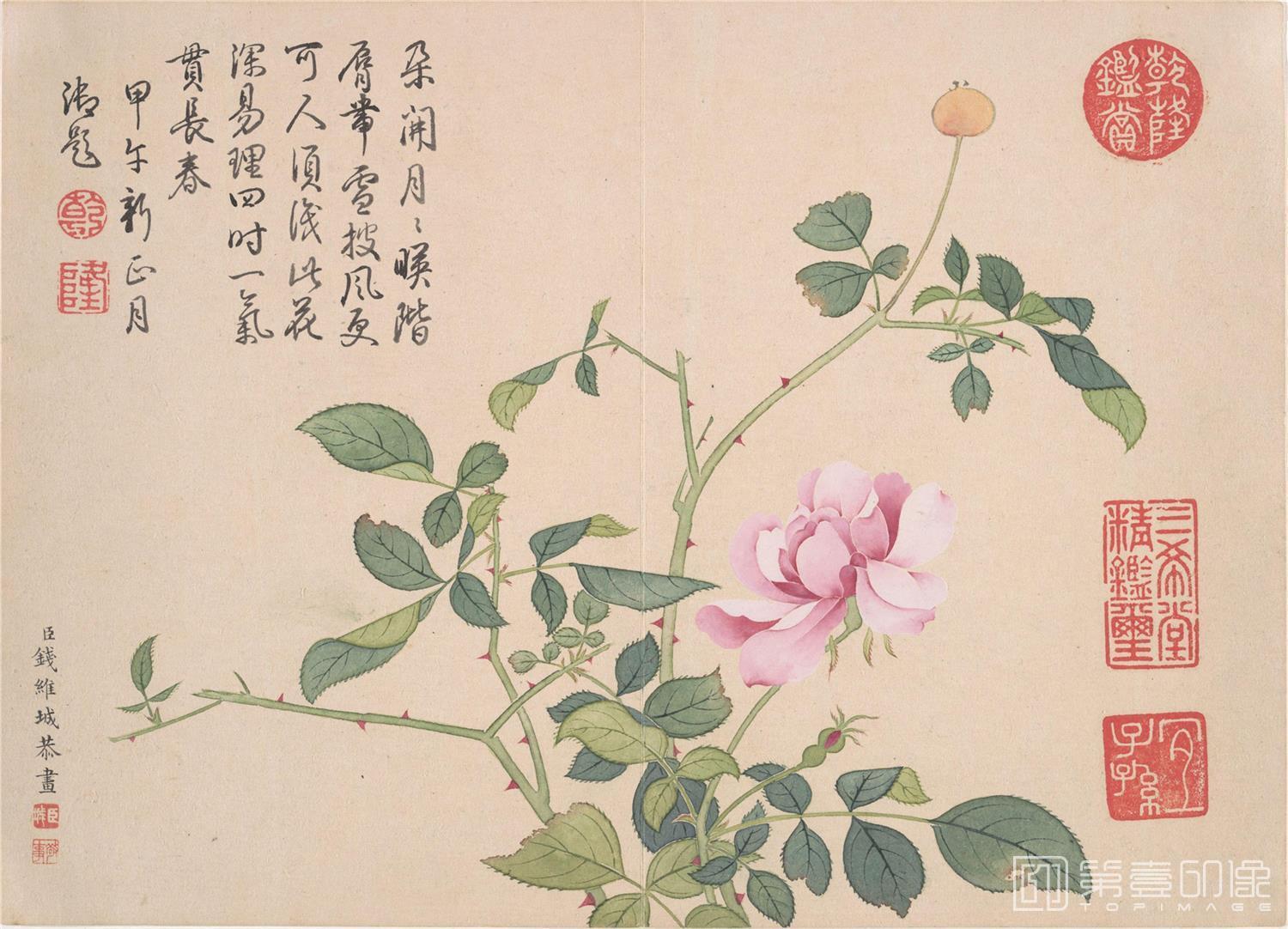 国画-山水花鸟册 12开 -011