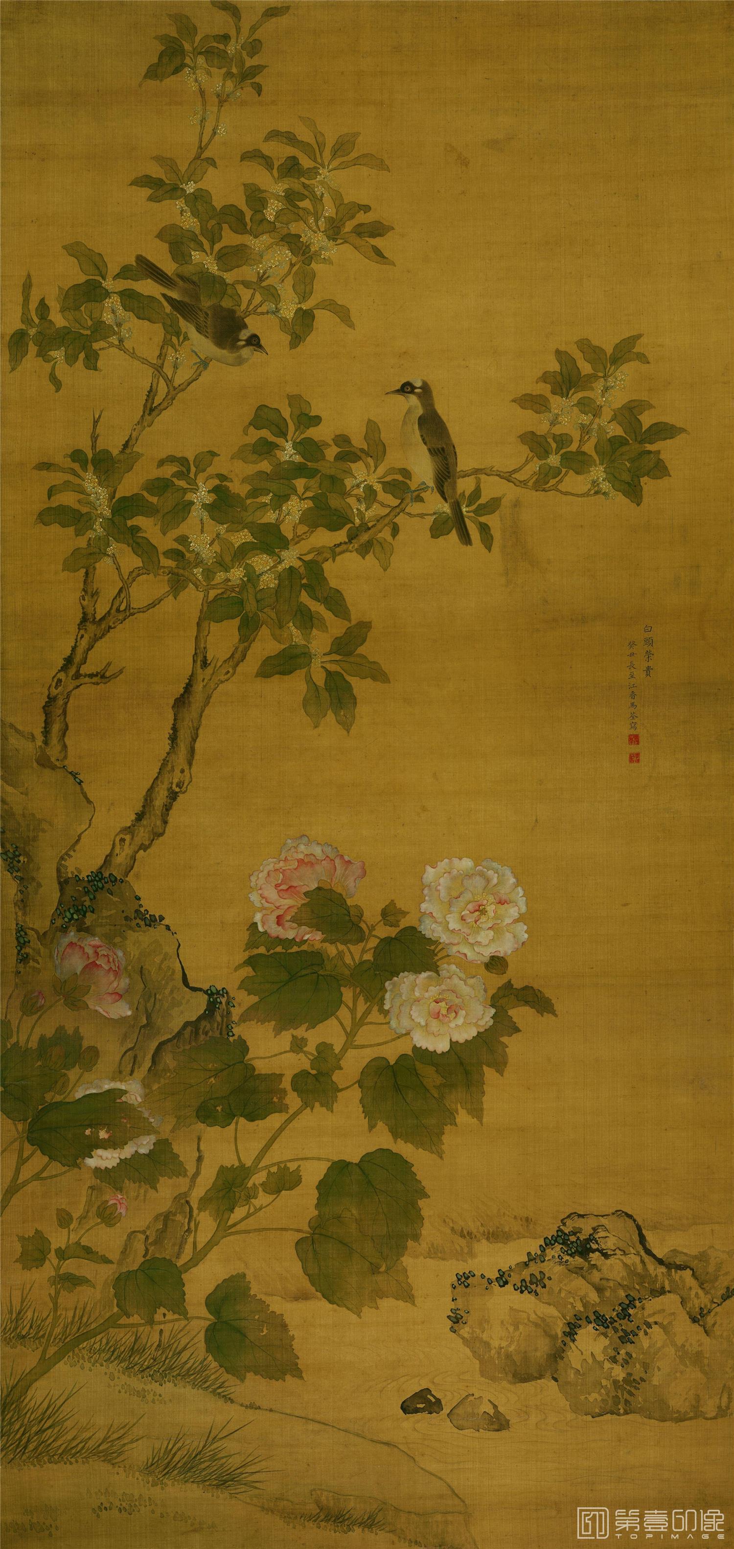 国画-白头荣贵图