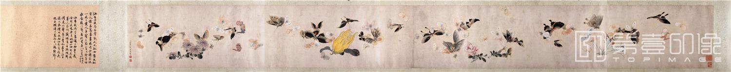 国画-蝶花图纸本27.9x248.9
