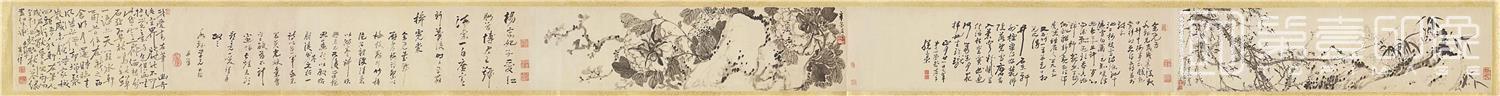 国画-梅花牡丹图卷20x317