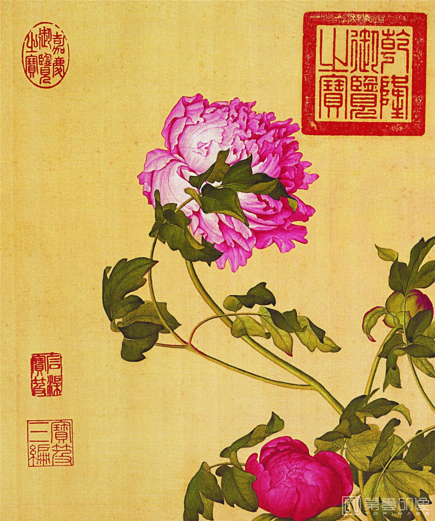 国画-牡丹图