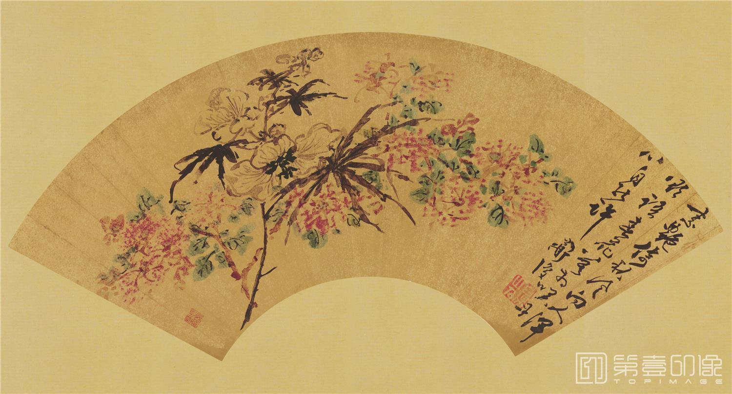 国画-花卉扇面