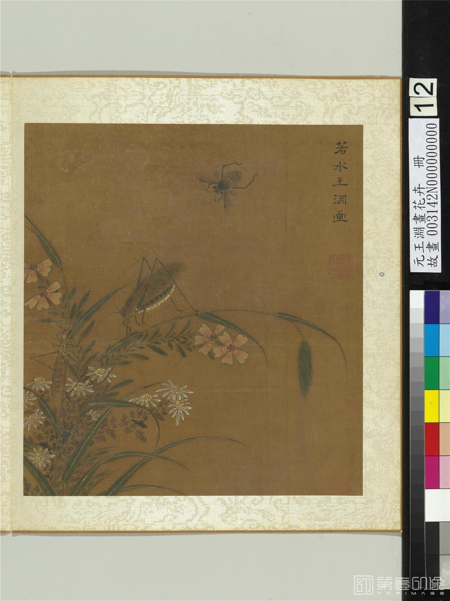 国画-菊石竹