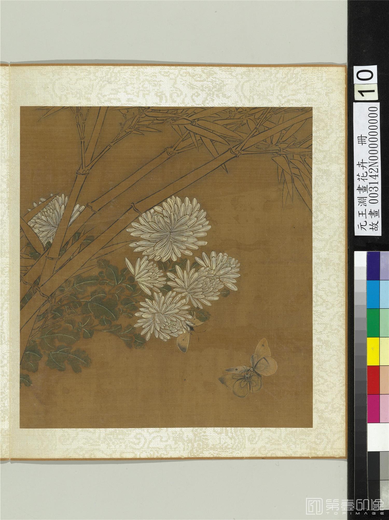 国画-画花卉-0003