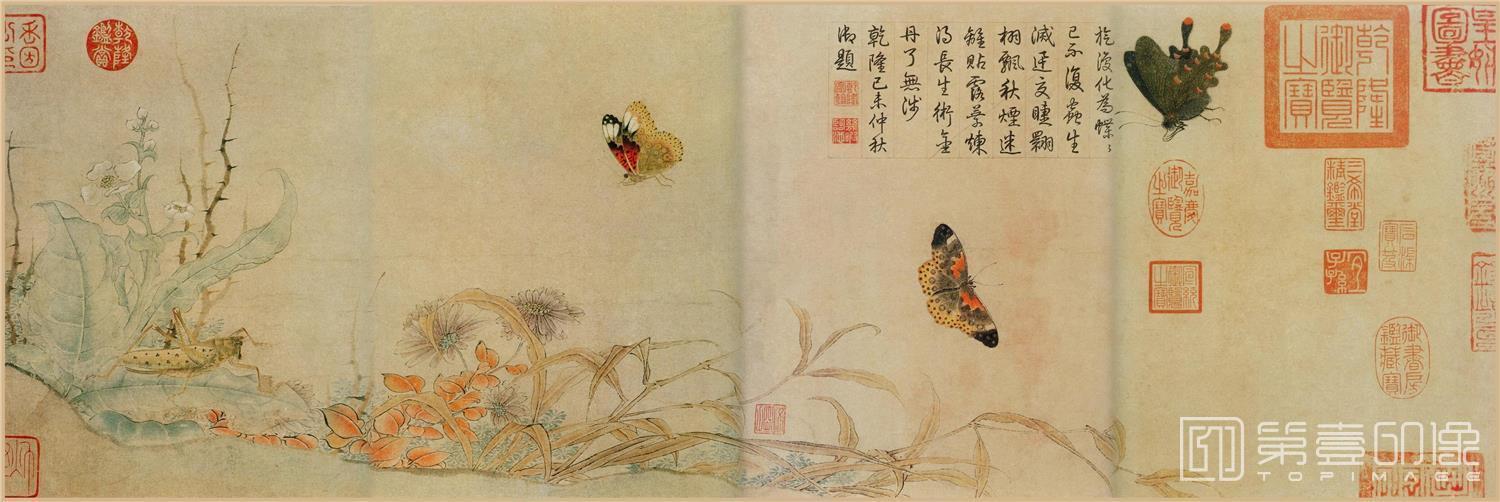 国画-写生蛱蝶图 卷 纸本设色 纵27.7厘米 横91厘米