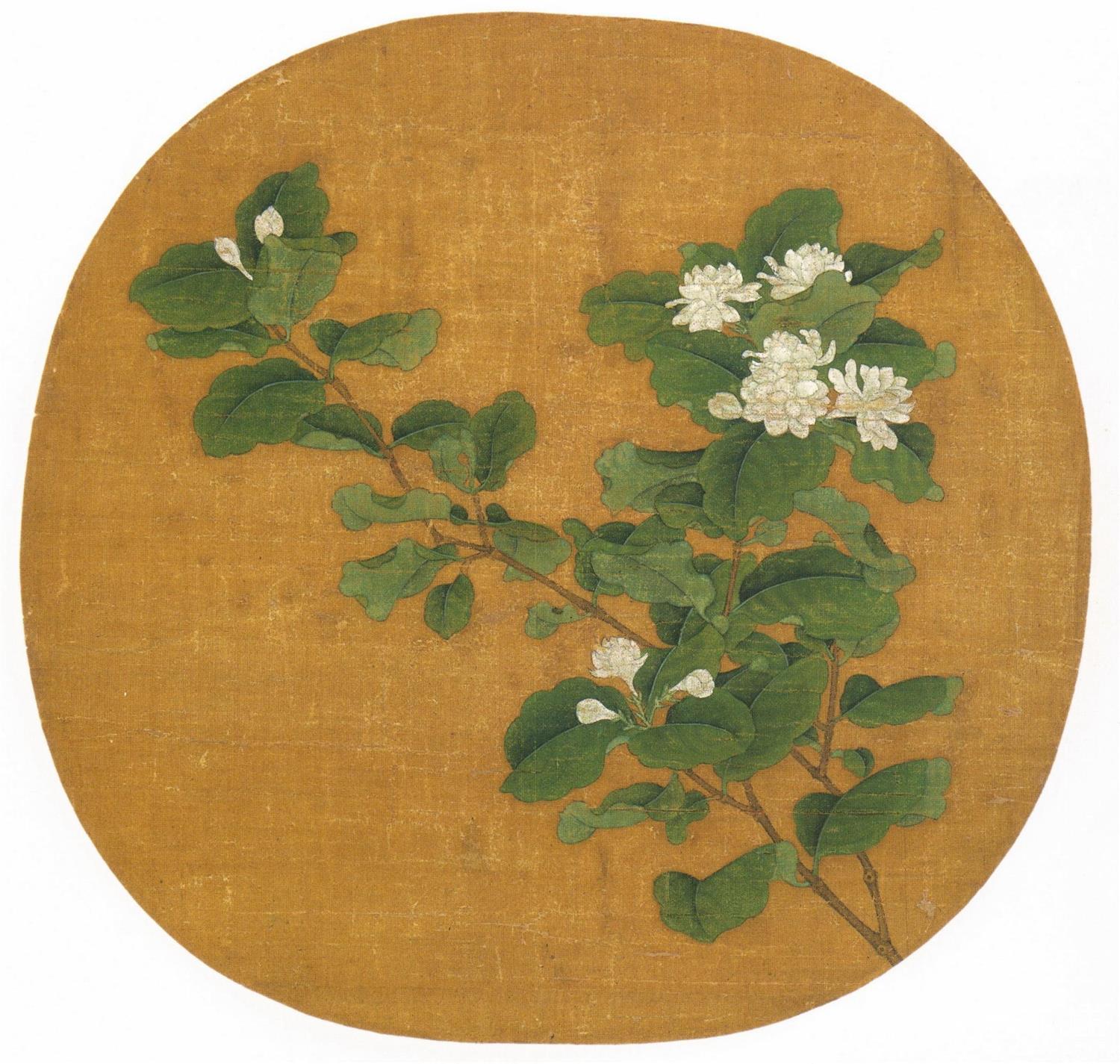国画-茉莉花图