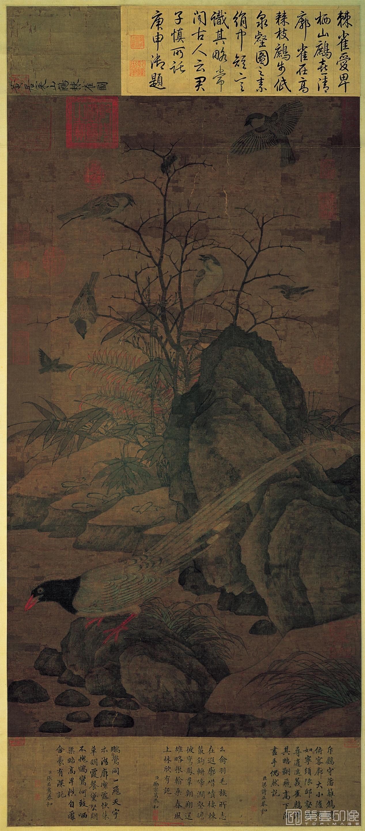 国画-山鹧棘雀图