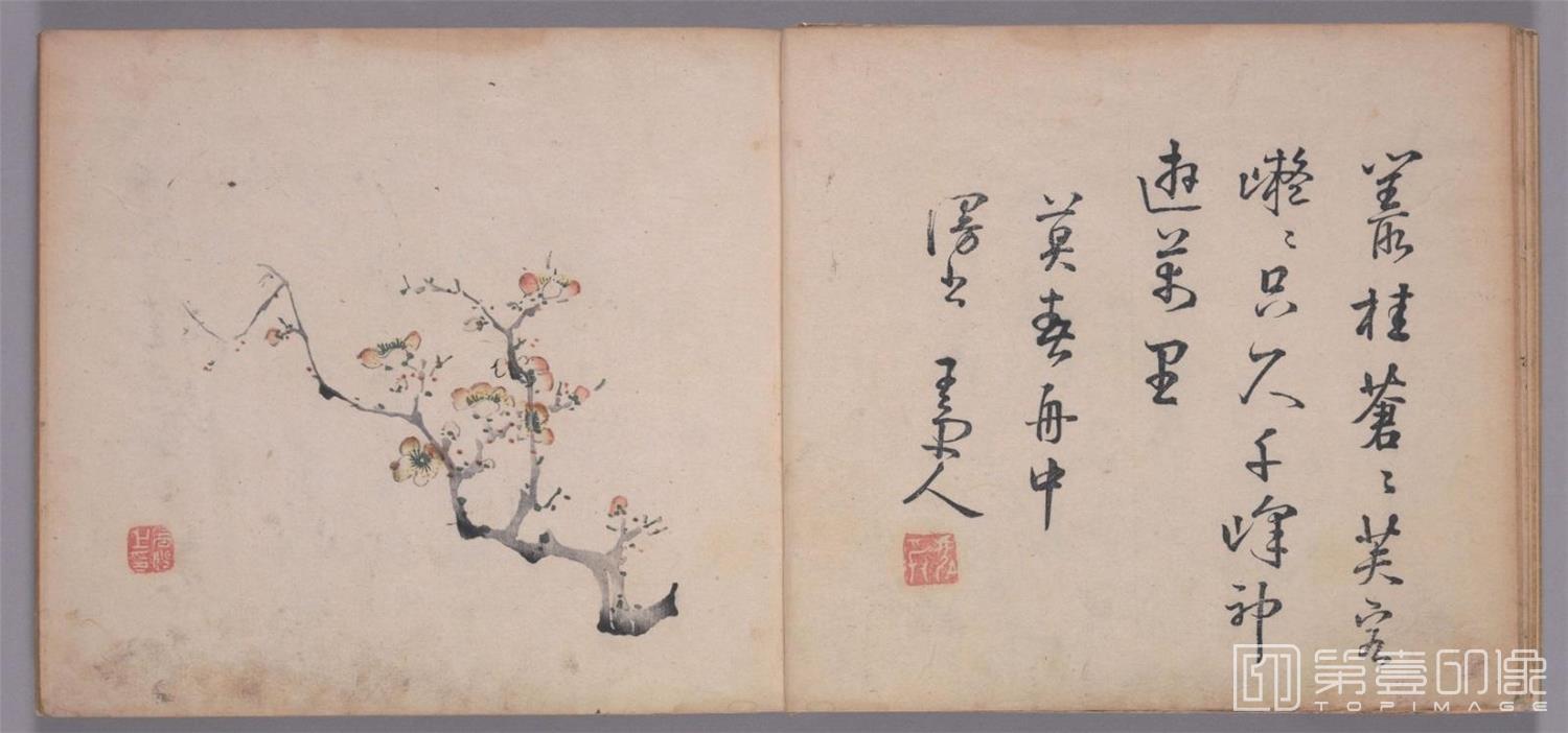 国画-十竹斋书画谱.五册.明天启崇祯年间刊本-0009