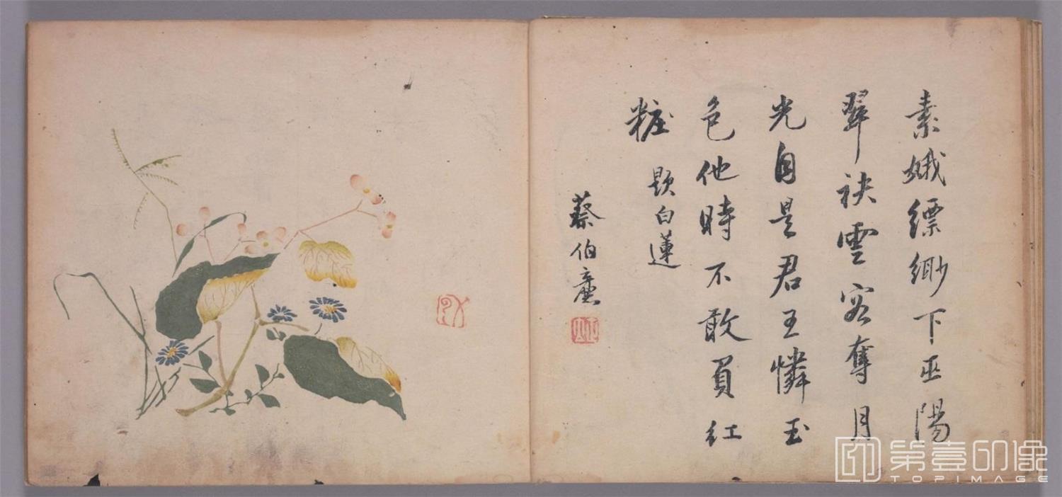 国画-十竹斋书画谱.五册.明天启崇祯年间刊本-0011