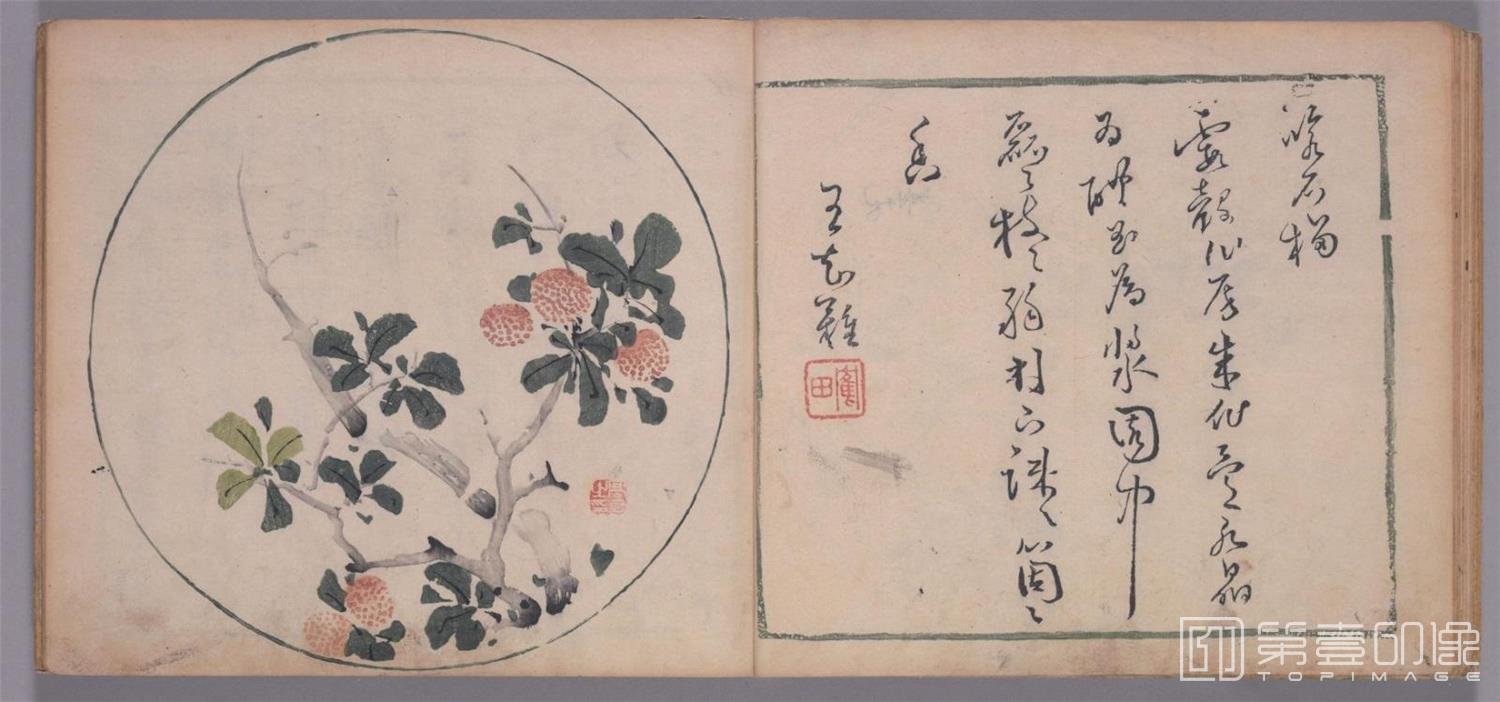 国画-十竹斋书画谱.五册.明天启崇祯年间刊本-0040