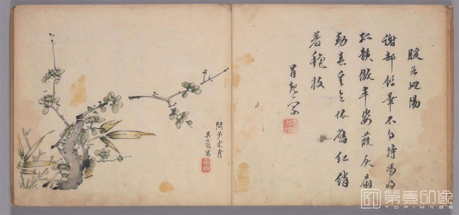 国画-十竹斋书画谱.五册.明天启崇祯年间刊本-0091