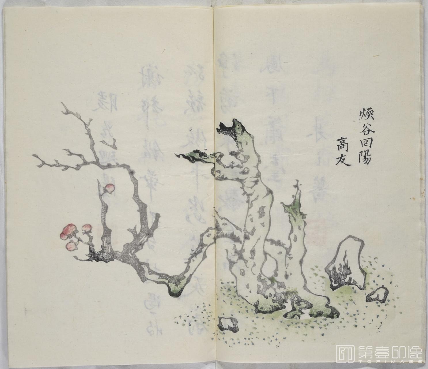 国画-十竹斋书画谱.16册.清嘉庆22年芥子园重刊胡氏彩色套-0148