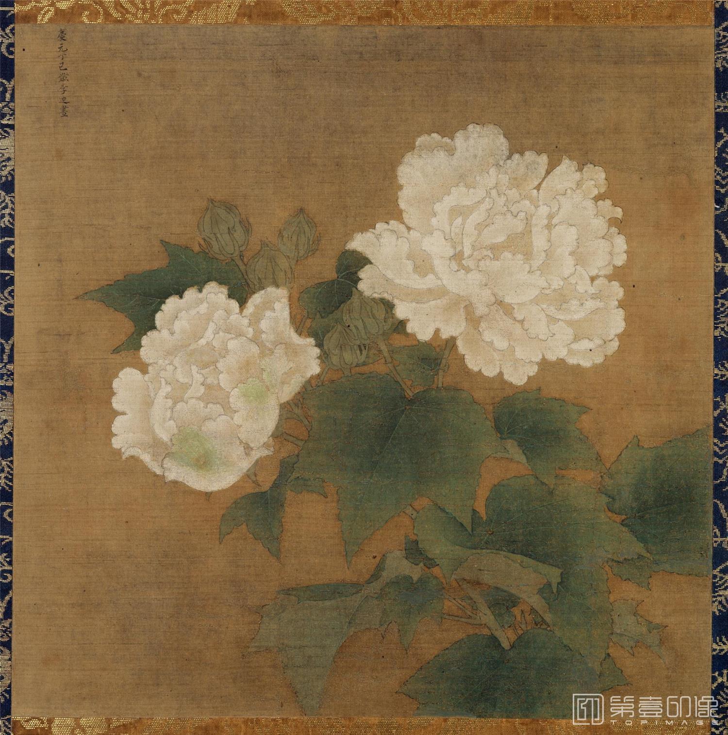 国画-红白芙蓉图