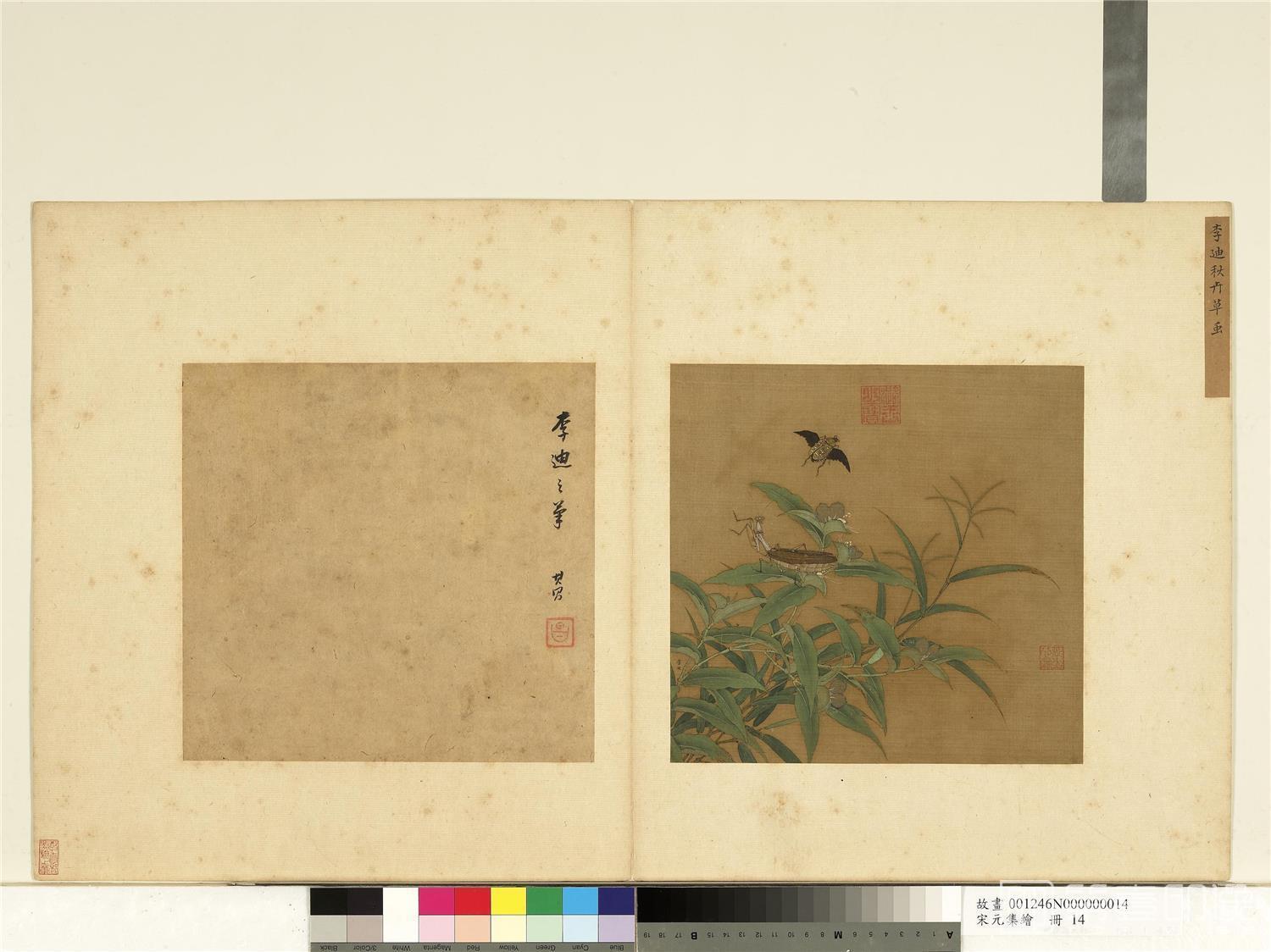 国画-秋卉草虫