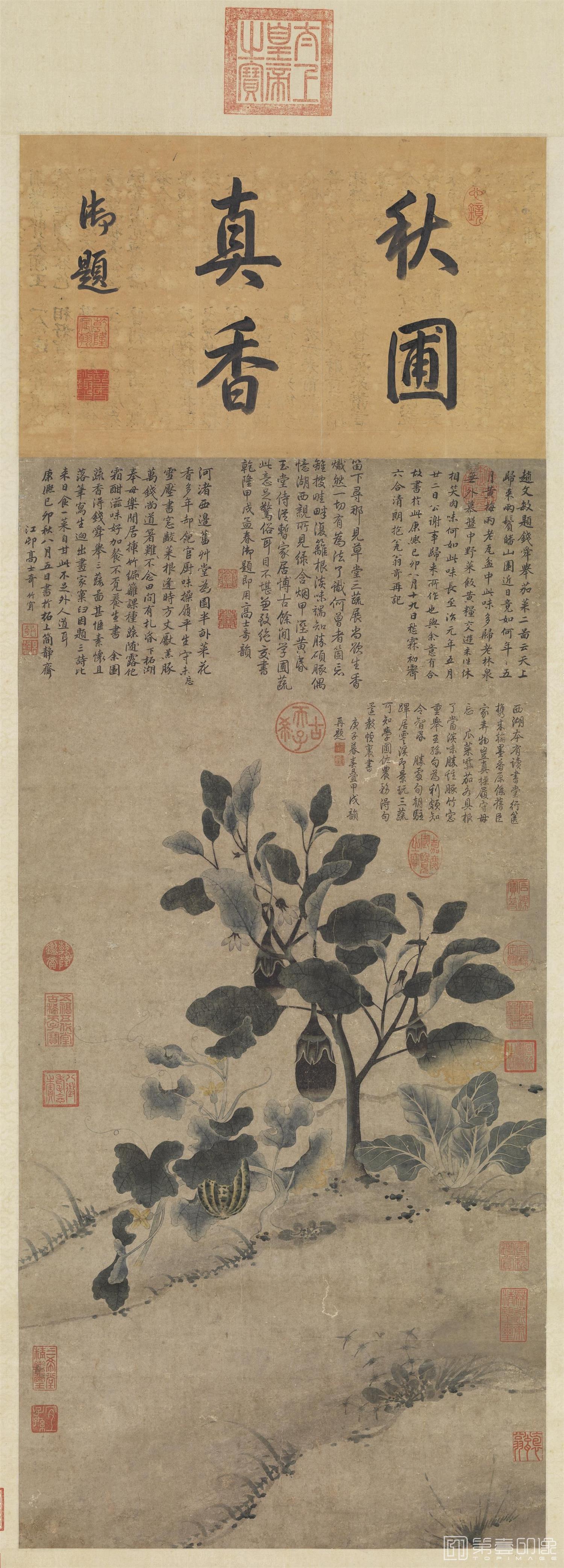 国画-三蔬图 轴