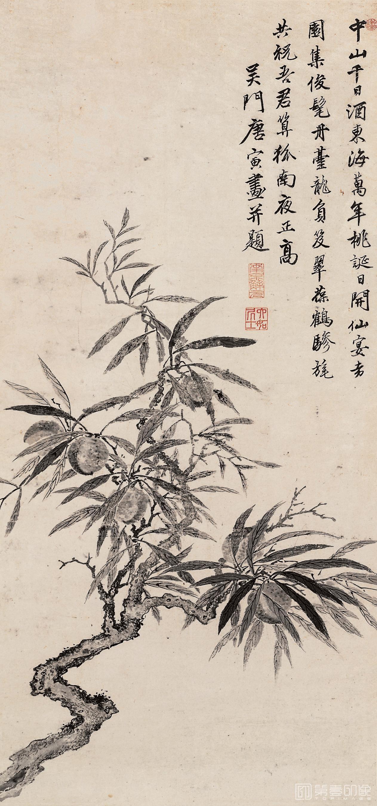 国画-寿桃图