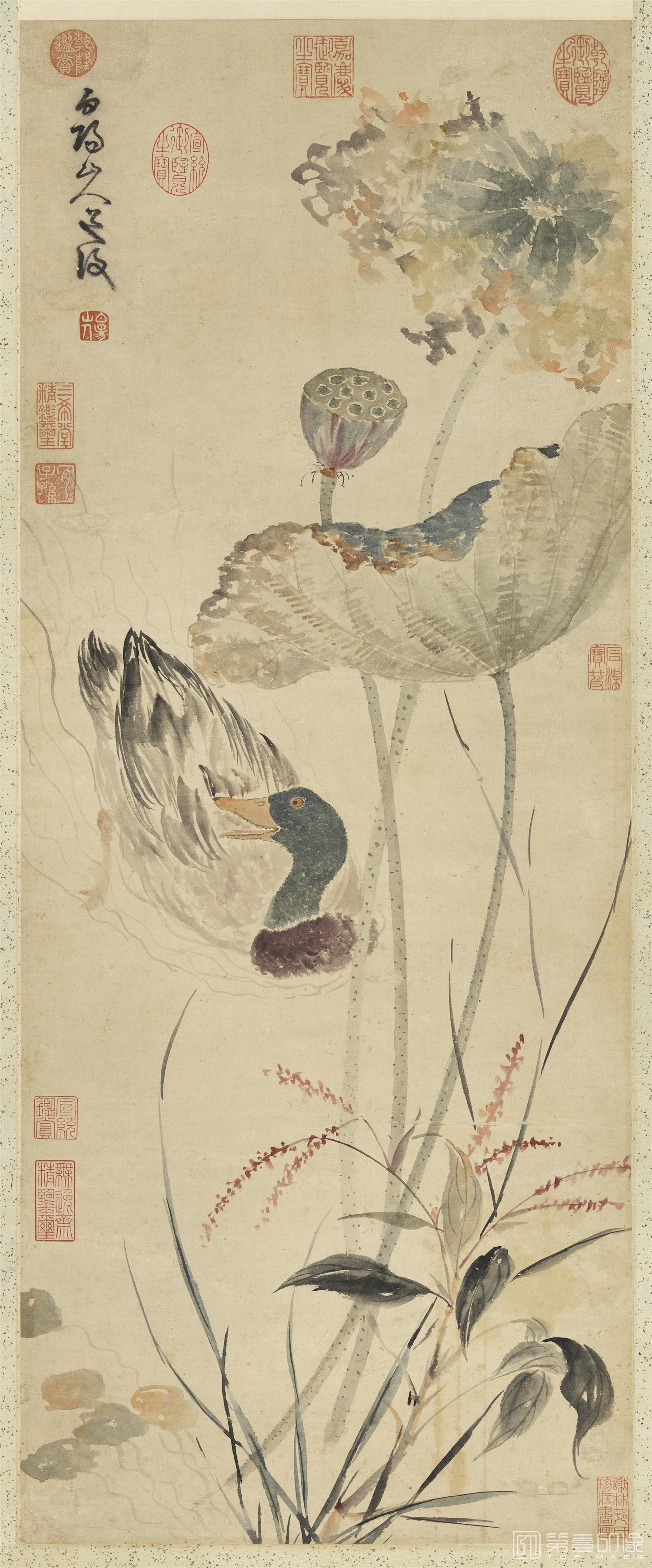 国画-秋塘花鸭