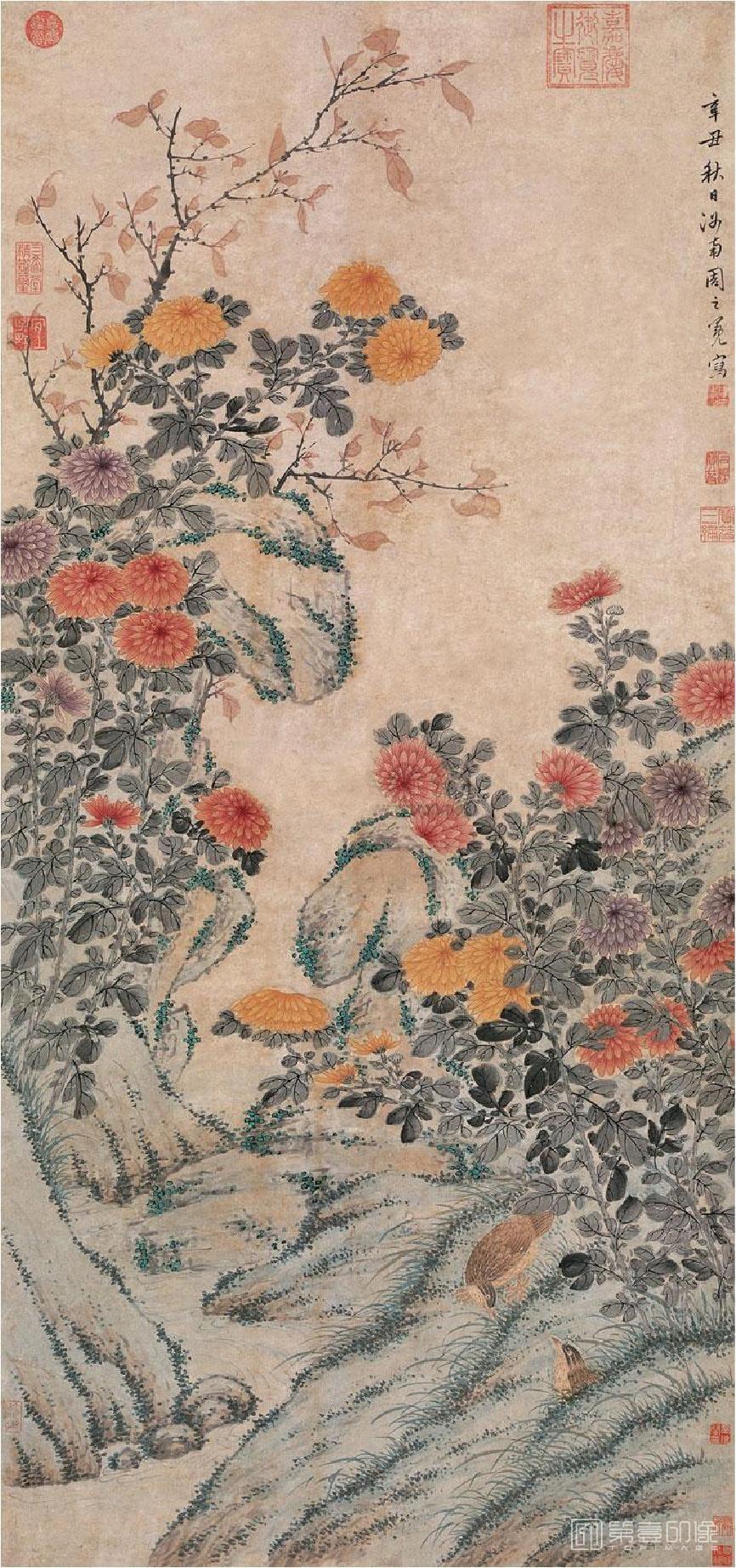 国画-菊花鹌鹑图