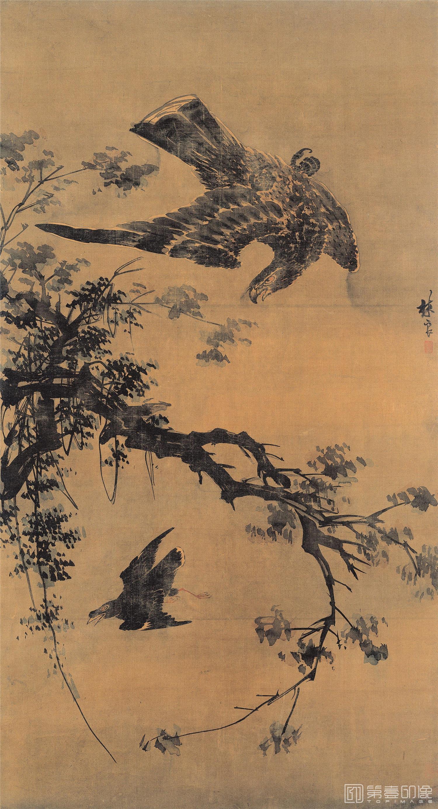 国画-秋鹰图