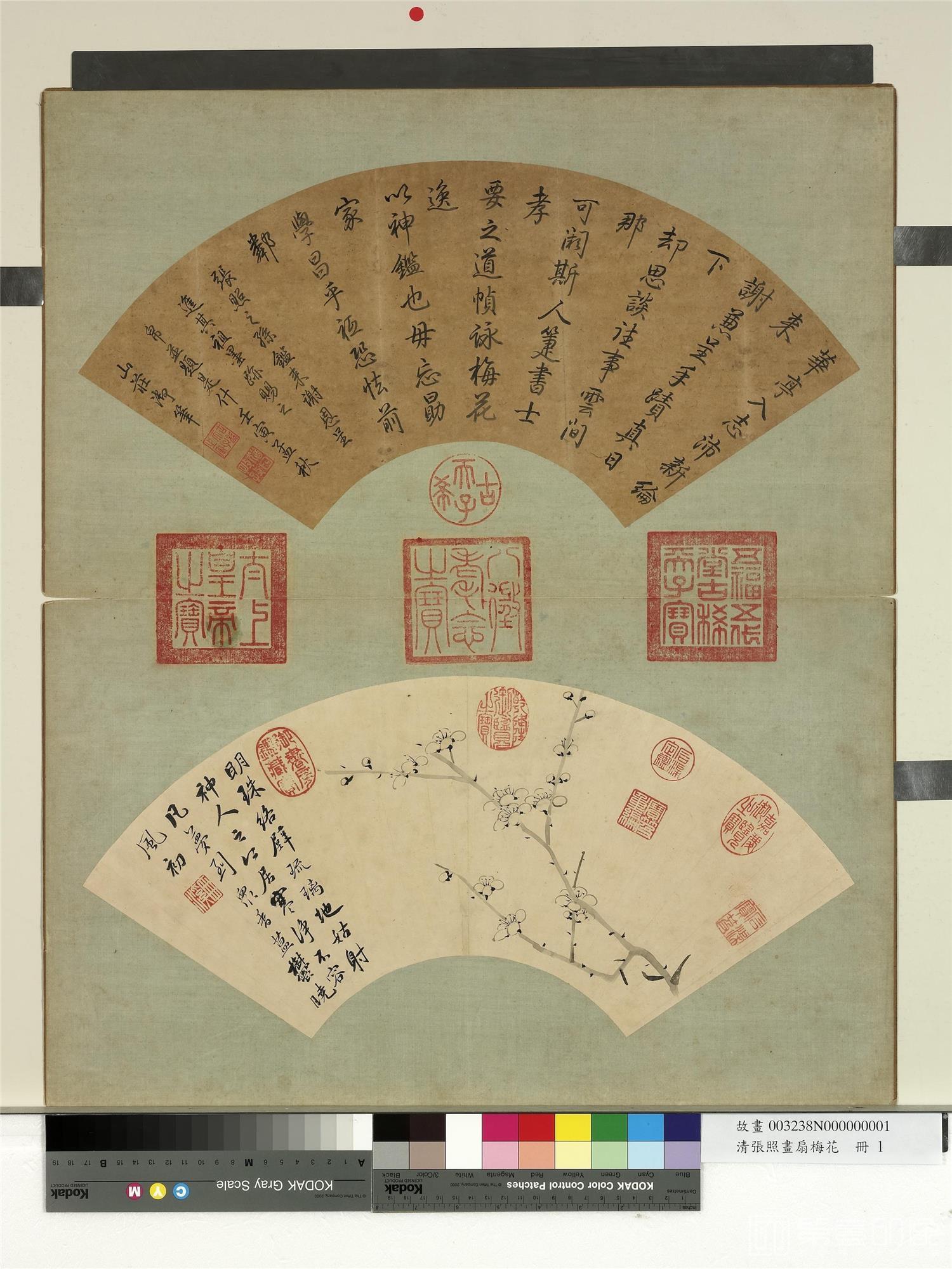 国画-扇梅花 册 梅花 (一)