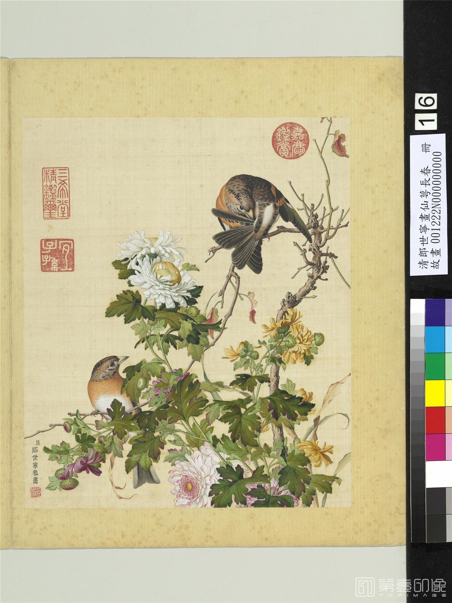 国画-仙萼长春 册