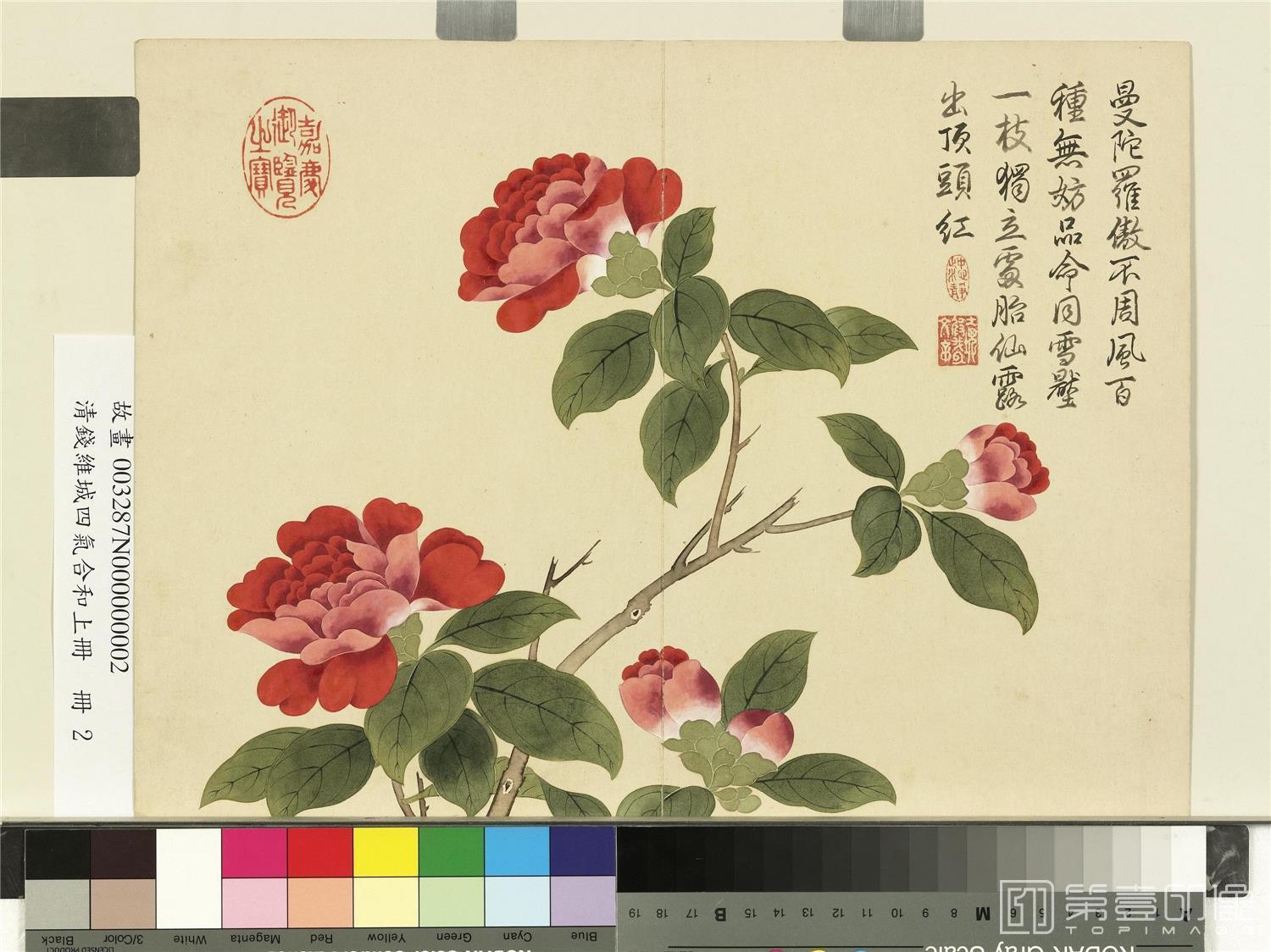 国画-四气含和上册 册 山茶