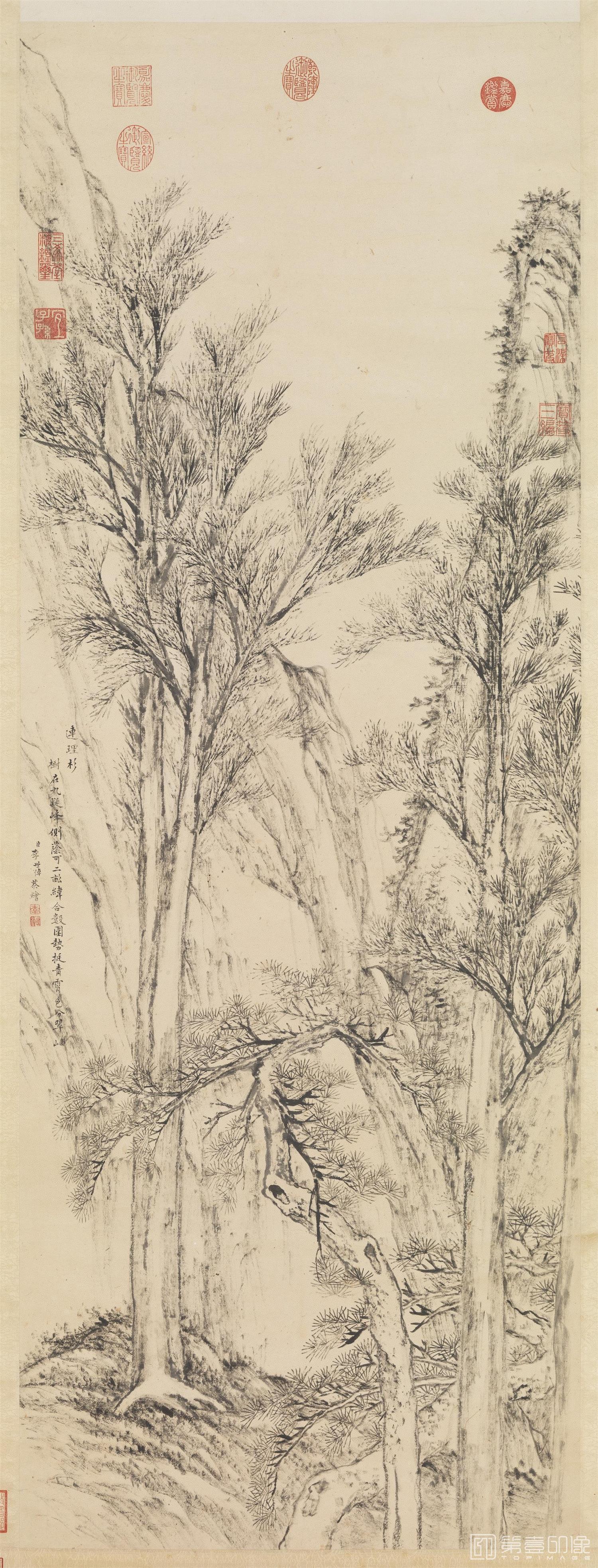 国画-画连理杉 轴-001-20200530182727368
