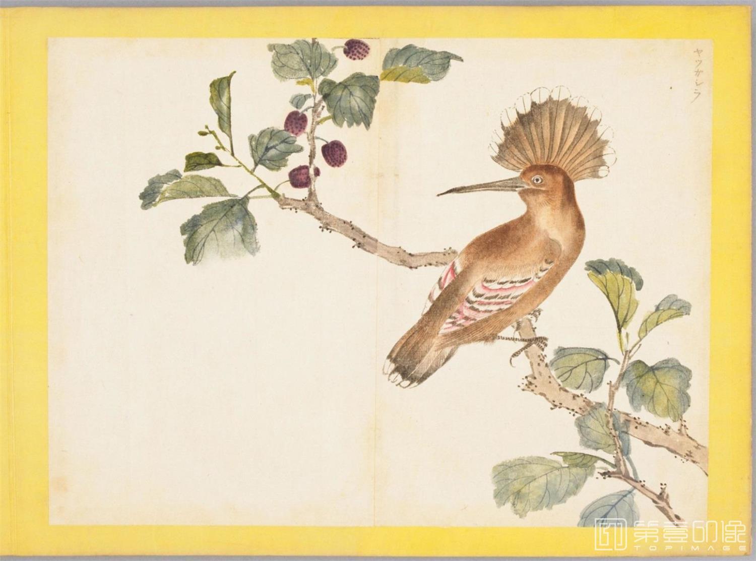 水彩画-百花鸟图-0065