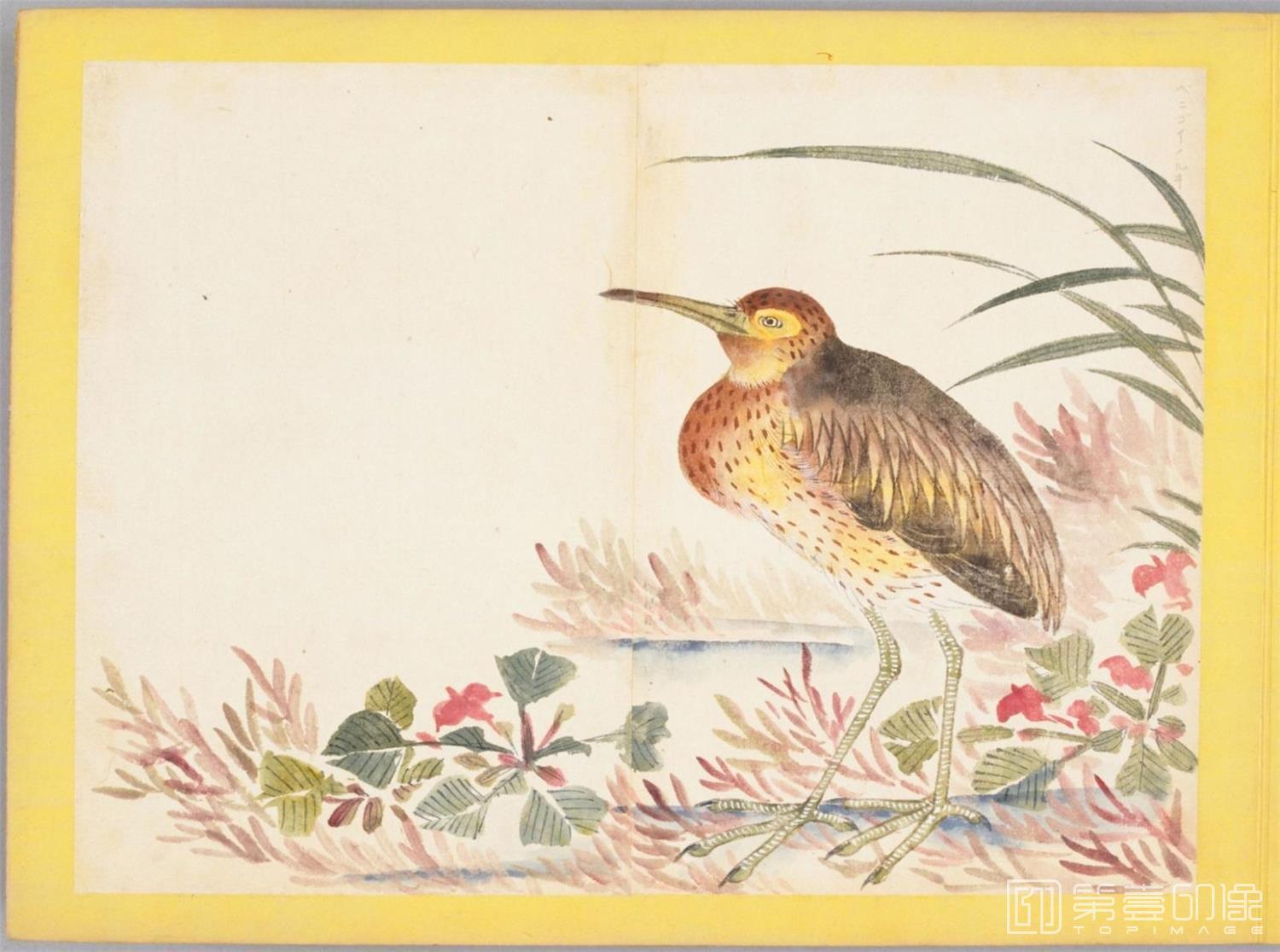 水彩画-百花鸟图-0066
