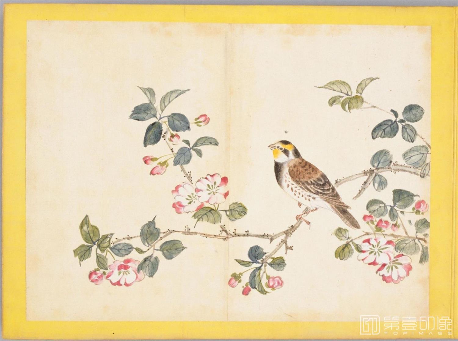 水彩画-百花鸟图-0068