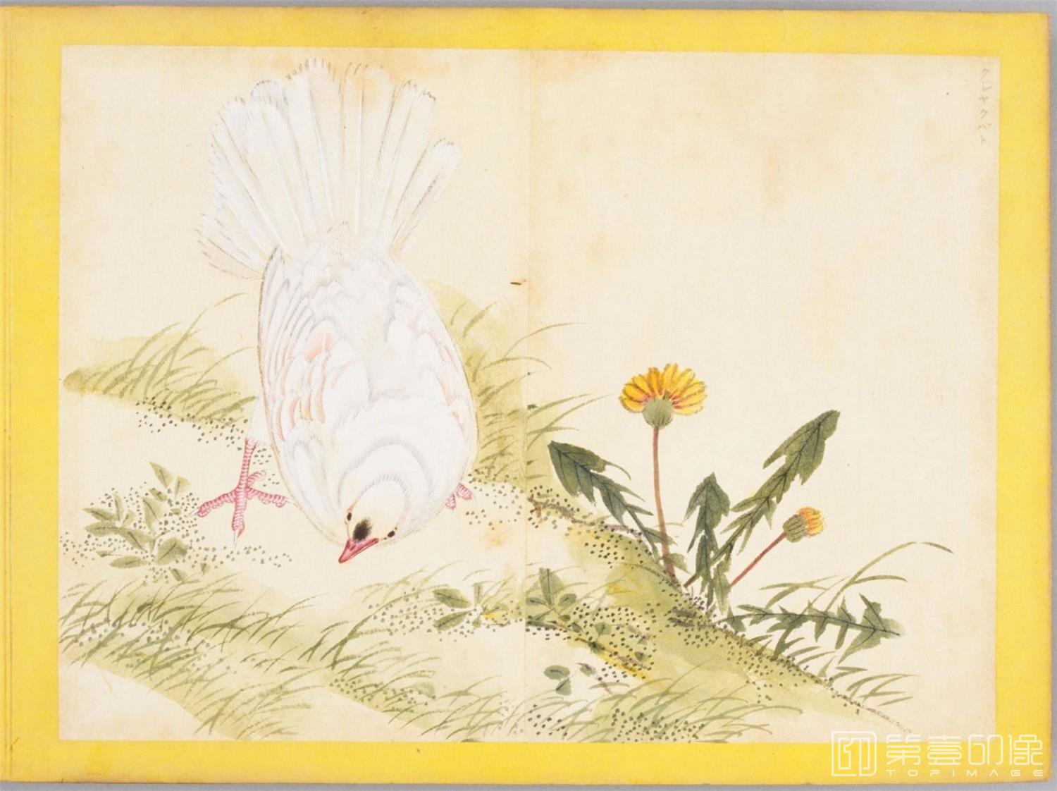 水彩画-百花鸟图-0069