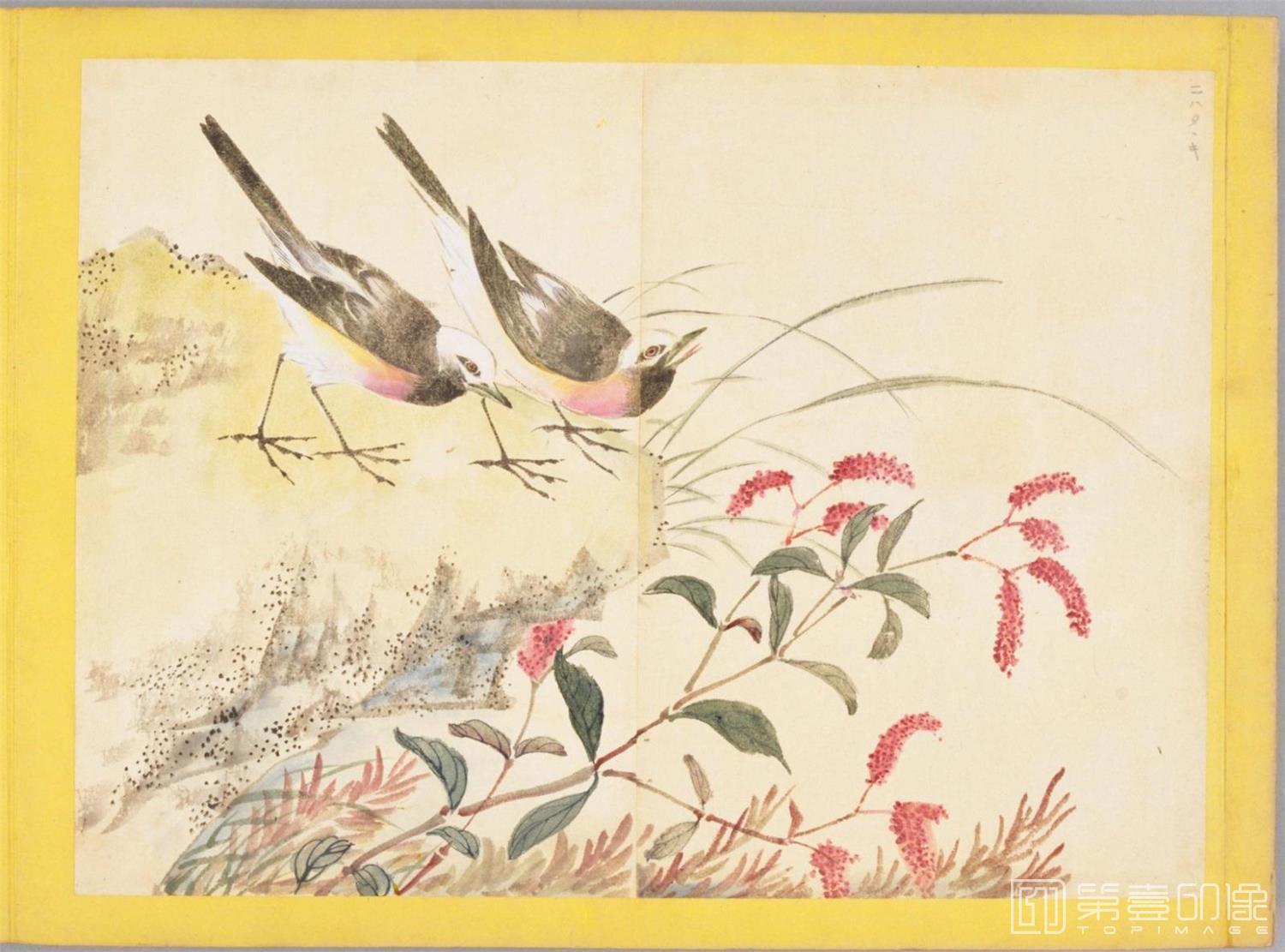 水彩画-百花鸟图-0075