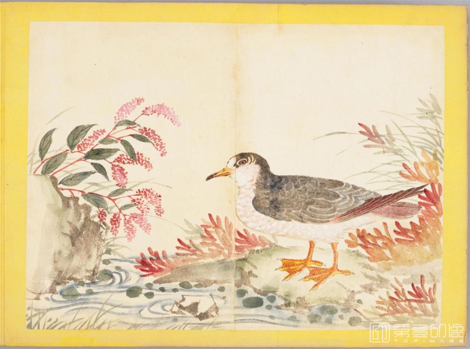 水彩画-百花鸟图-0077