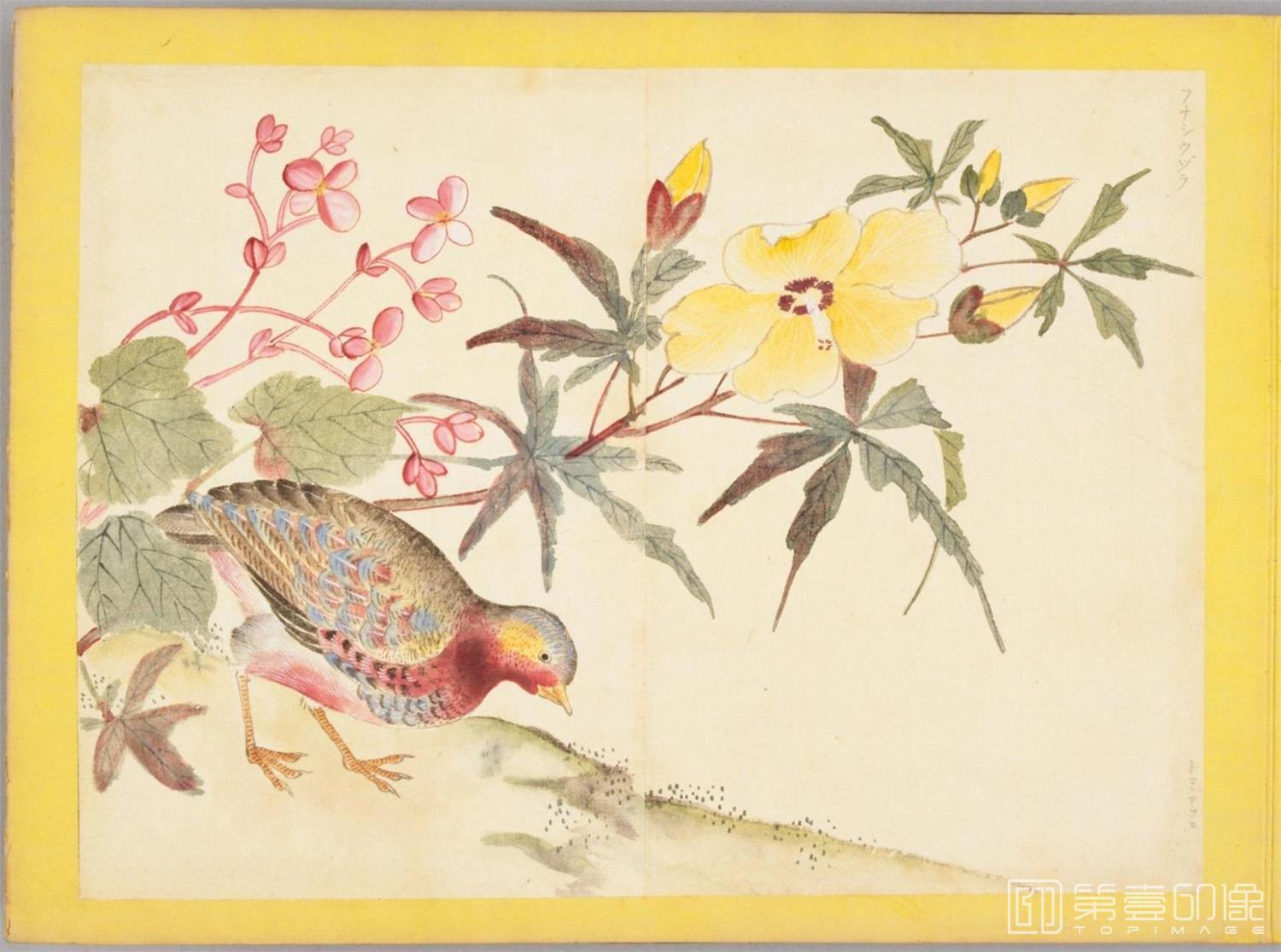 水彩画-百花鸟图-0078