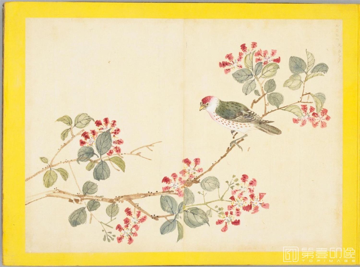 水彩画-百花鸟图-0080