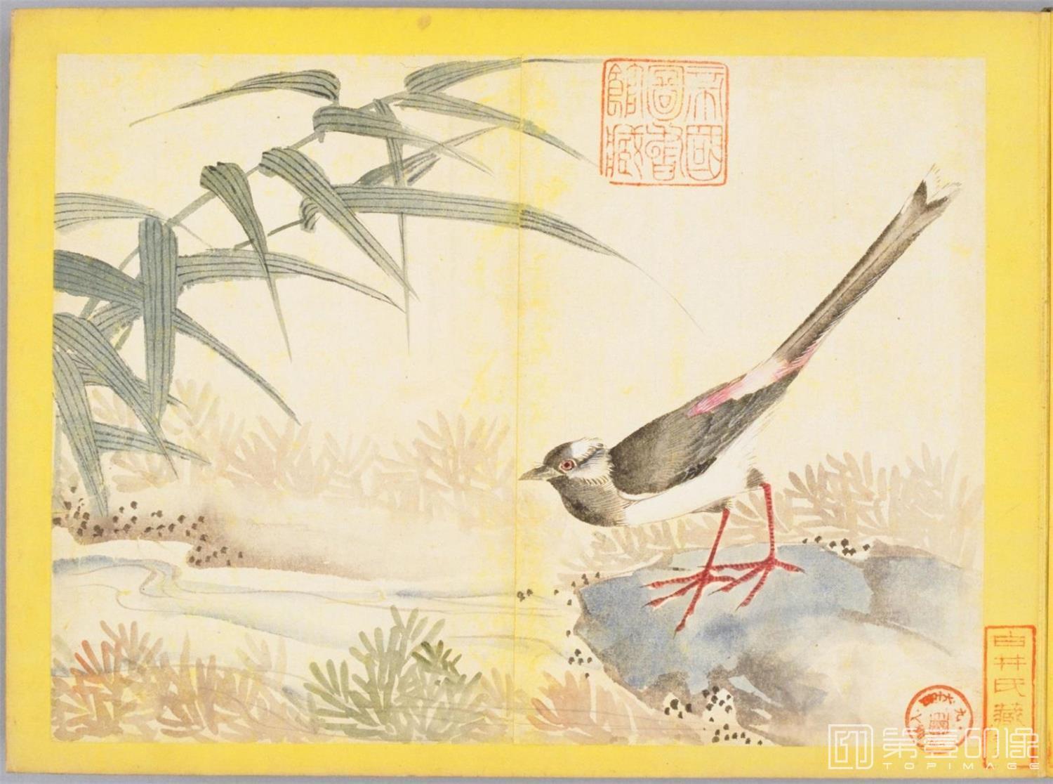 水彩画-百花鸟图-0086
