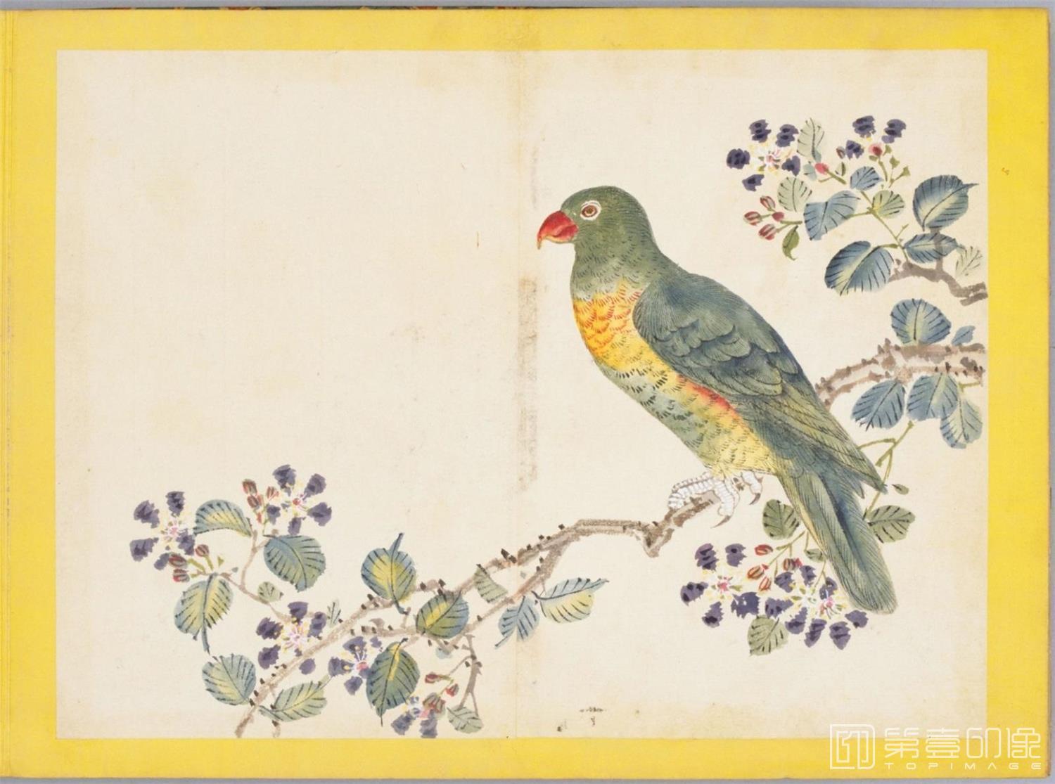 水彩画-百花鸟图-0089