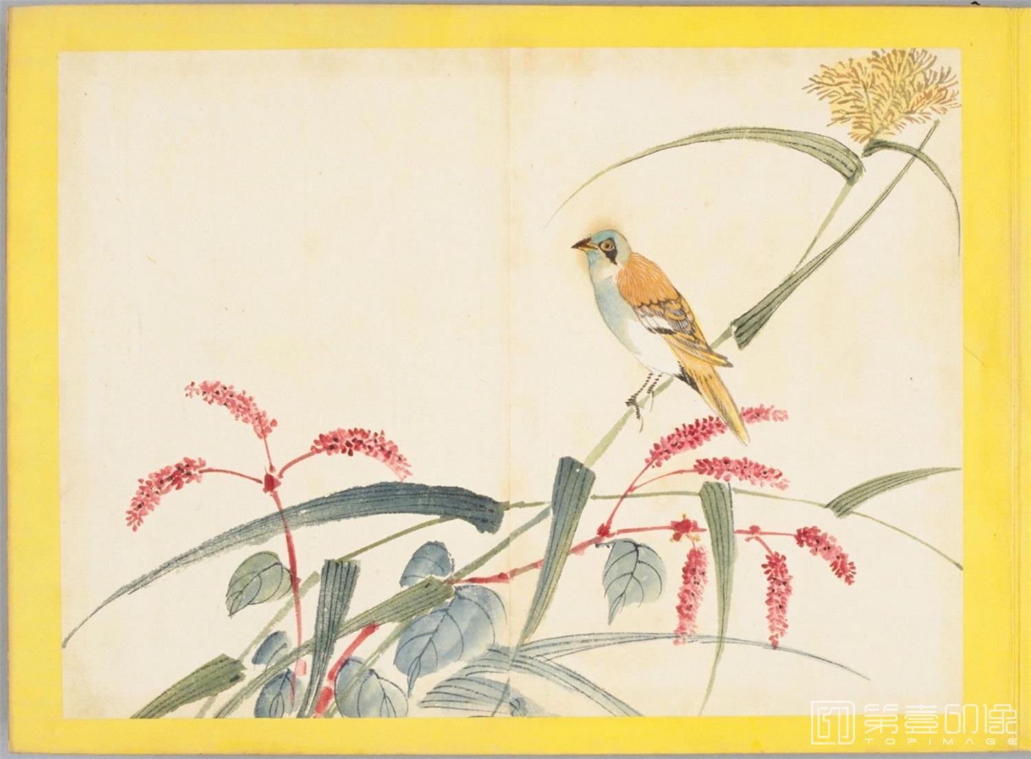 水彩画-百花鸟图-0092
