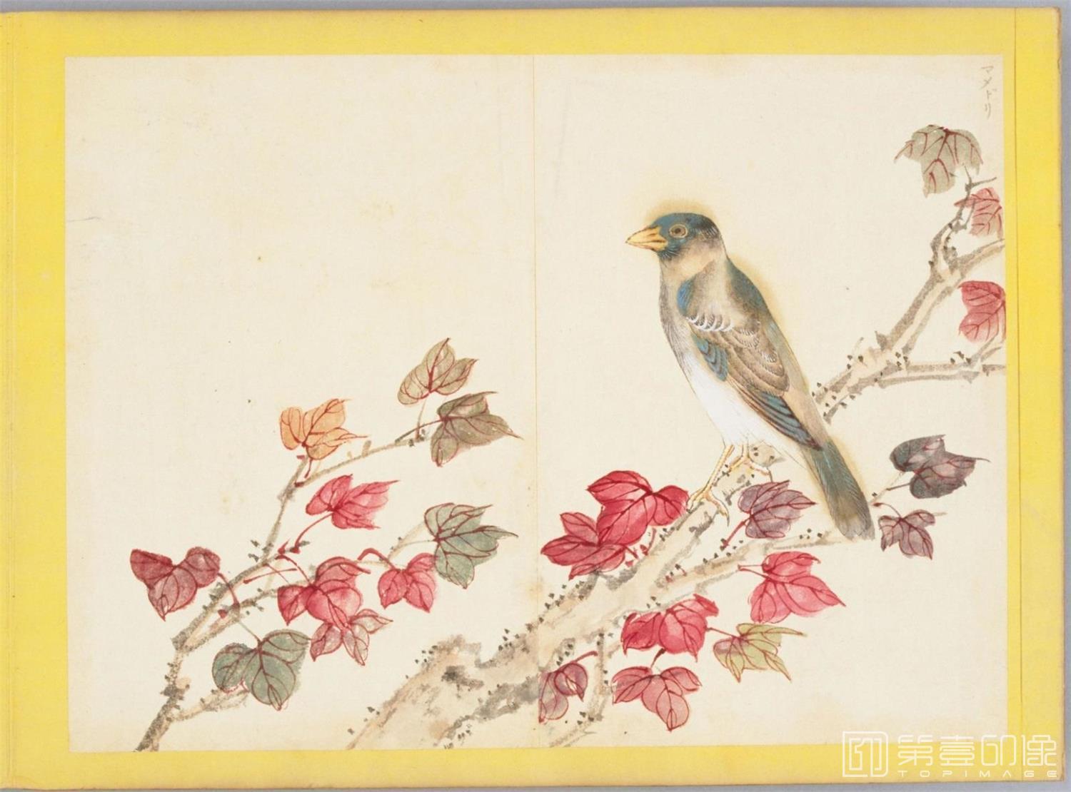 水彩画-百花鸟图-0095