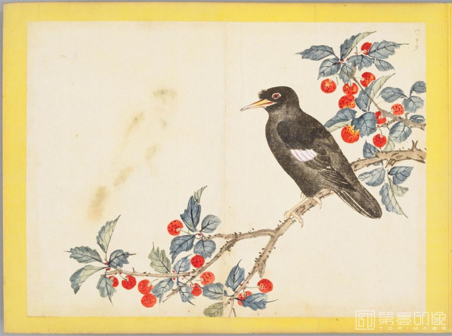 水彩画-百花鸟图-0096