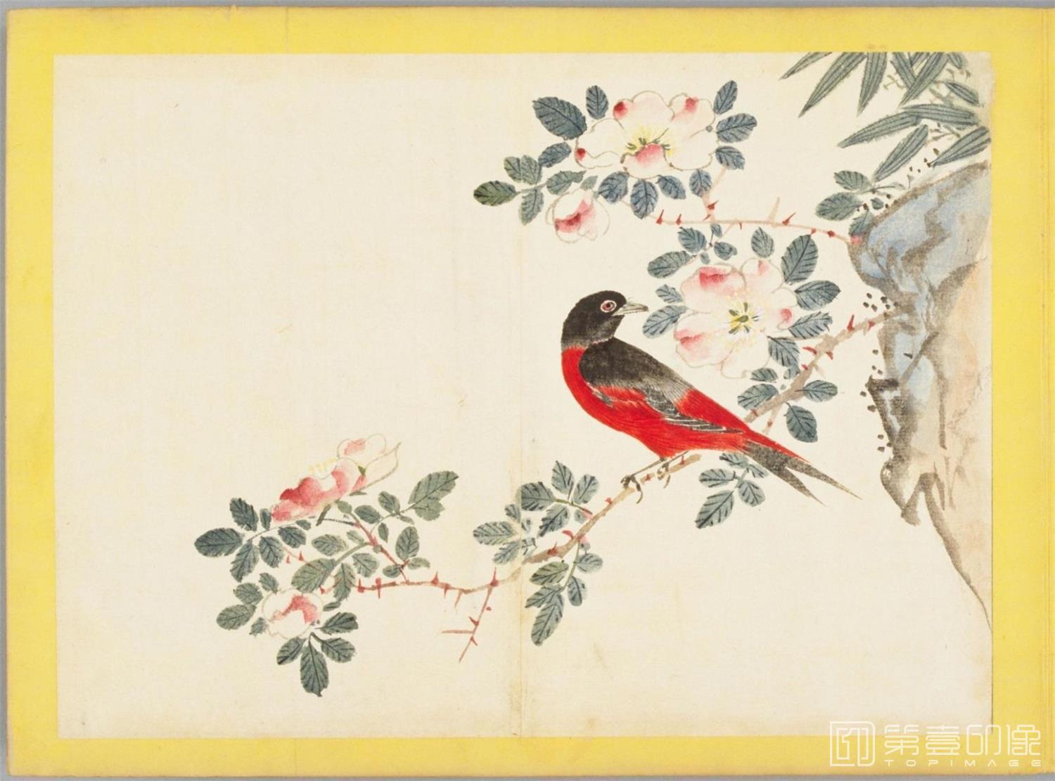 水彩画-百花鸟图-0098