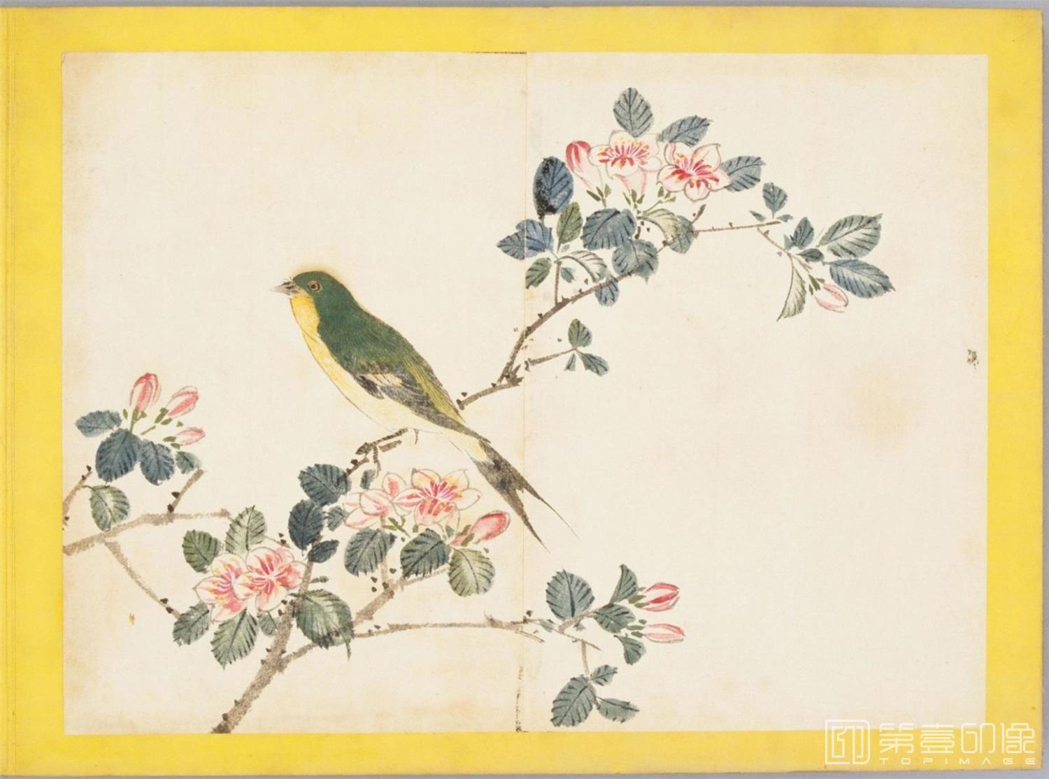 水彩画-百花鸟图-0101