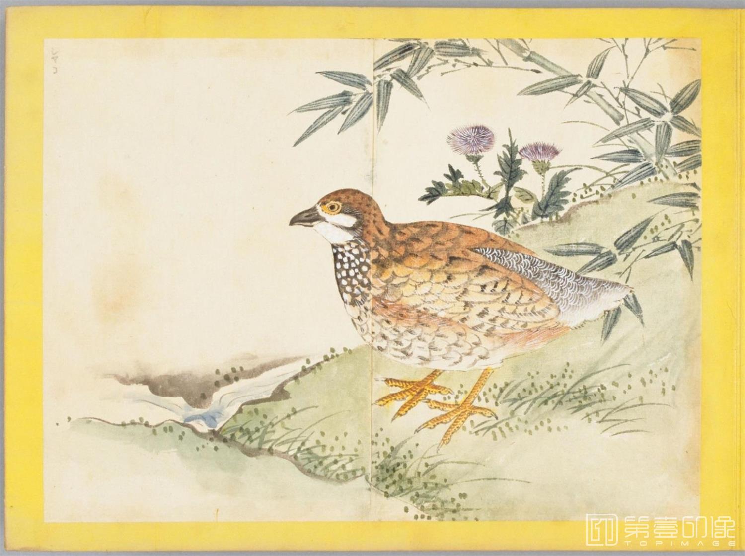 水彩画-百花鸟图-0102