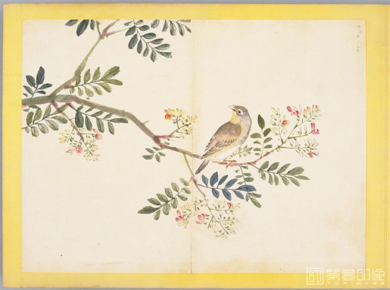 水彩画-百花鸟图-0104