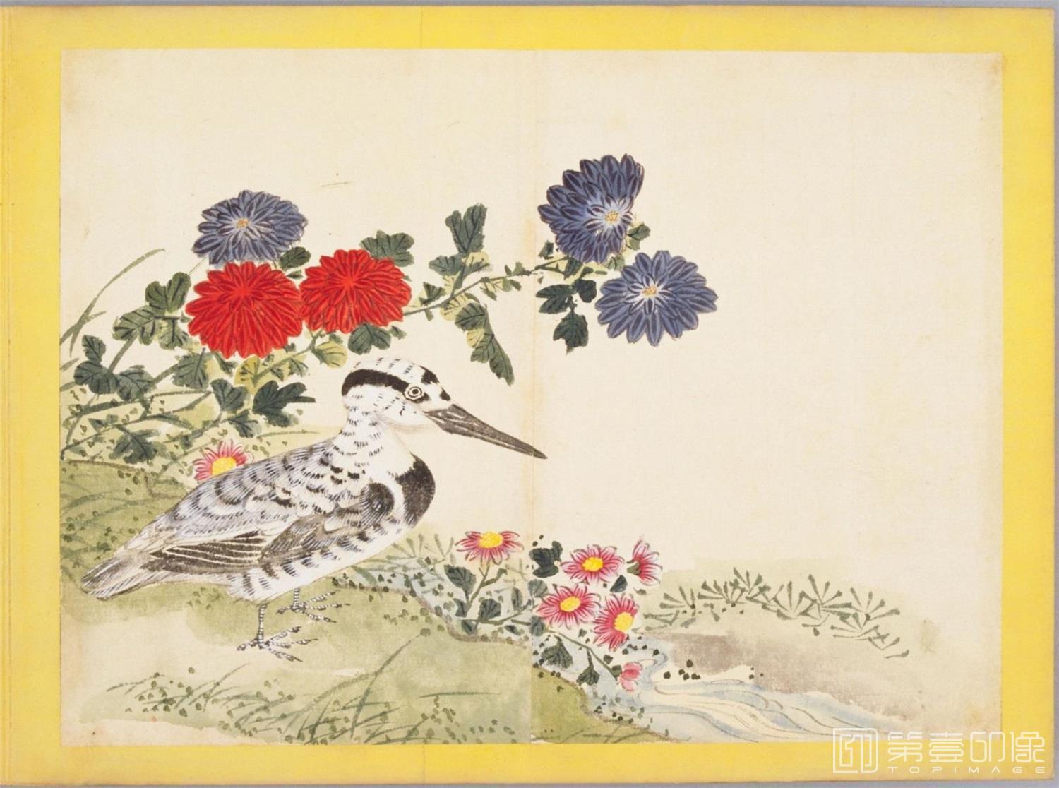 水彩画-百花鸟图-0105