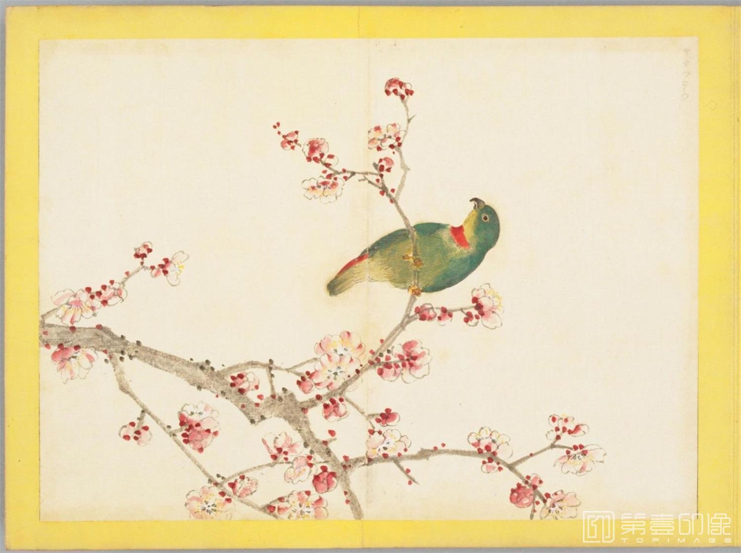 水彩画-百花鸟图-0108