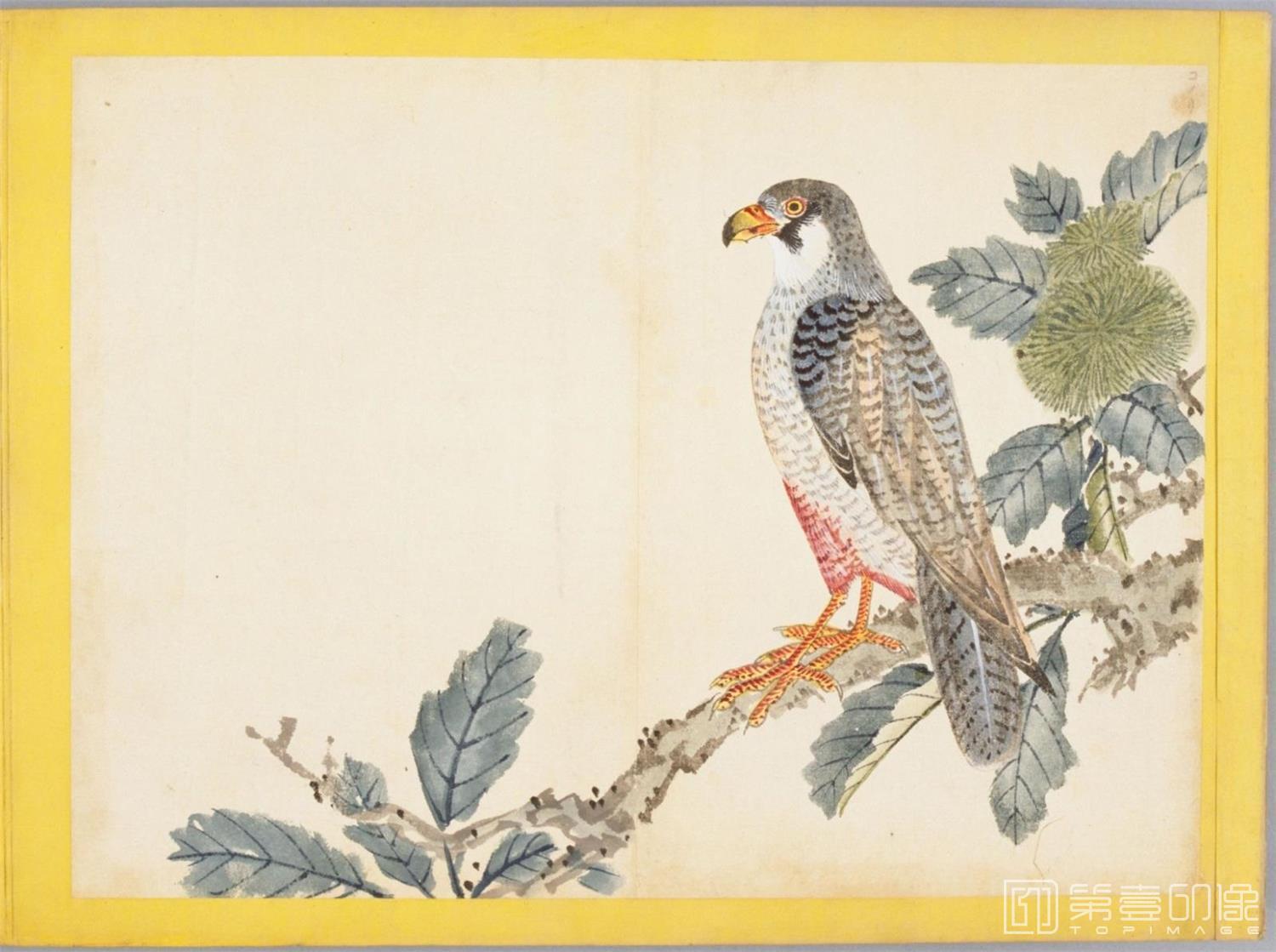 水彩画-百花鸟图-0111