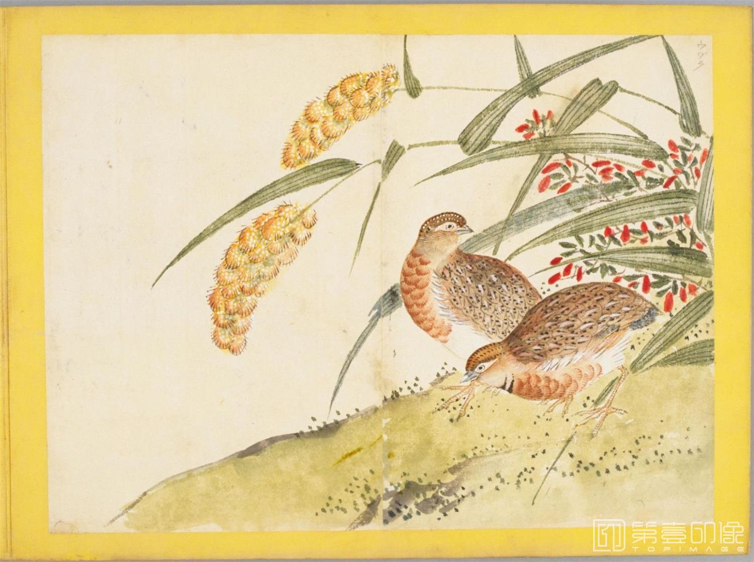 水彩画-百花鸟图-0113