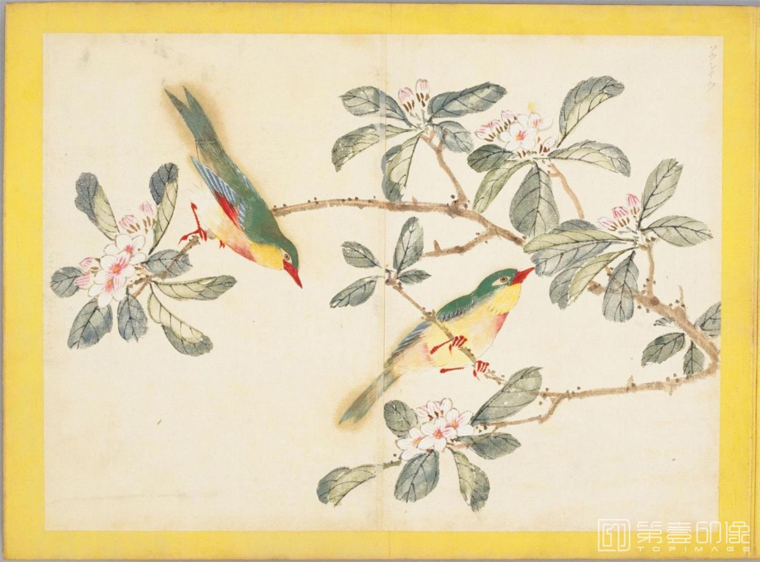 水彩画-百花鸟图-0114
